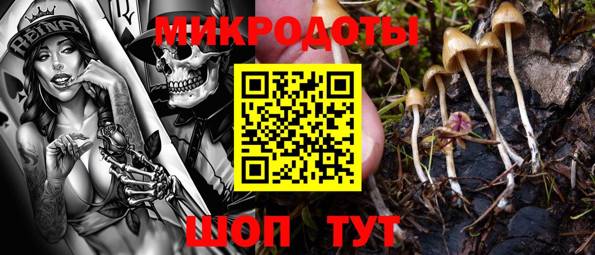 Новоалександровск  наркота  Вход с VPN  Галлюциногенные грибы Magic Shrooms  Галлюциногенные грибы Magic Shrooms 